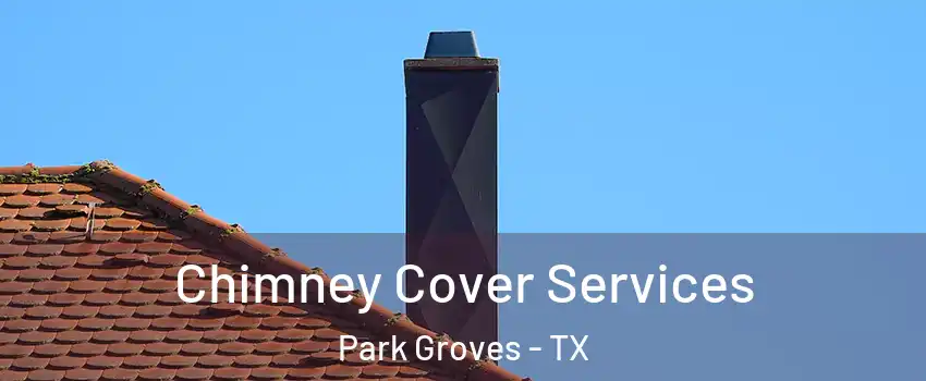 Chimney Cover Services Park Groves - TX