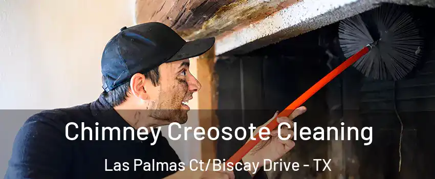 Chimney Creosote Cleaning Las Palmas Ct/Biscay Drive - TX