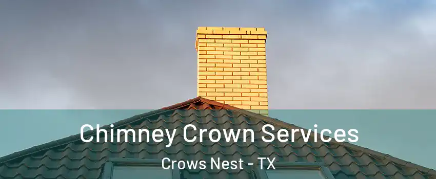 Chimney Crown Services Crows Nest - TX