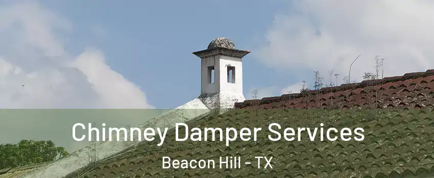 Chimney Damper Services Beacon Hill - TX