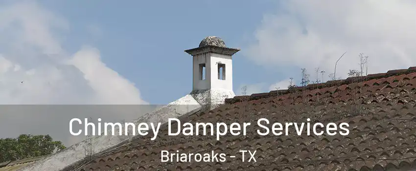 Chimney Damper Services Briaroaks - TX