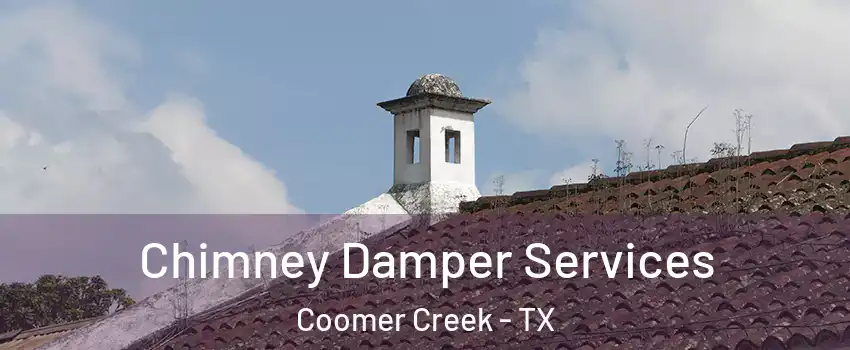 Chimney Damper Services Coomer Creek - TX