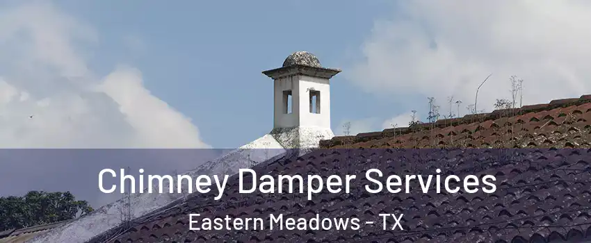 Chimney Damper Services Eastern Meadows - TX