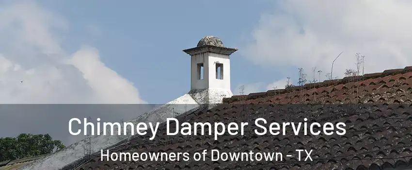 Chimney Damper Services Homeowners of Downtown - TX