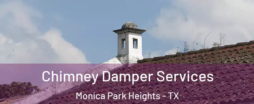 Chimney Damper Services Monica Park Heights - TX