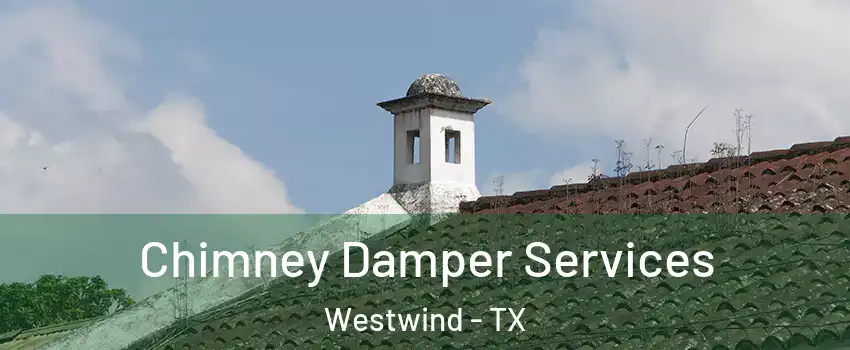 Chimney Damper Services Westwind - TX