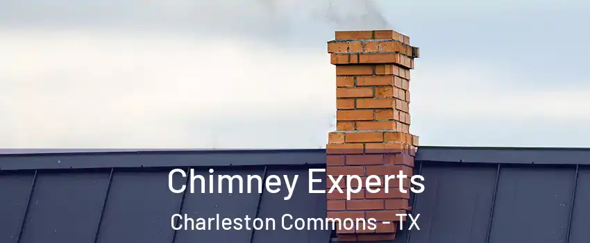 Chimney Experts Charleston Commons - TX