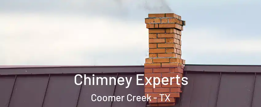 Chimney Experts Coomer Creek - TX