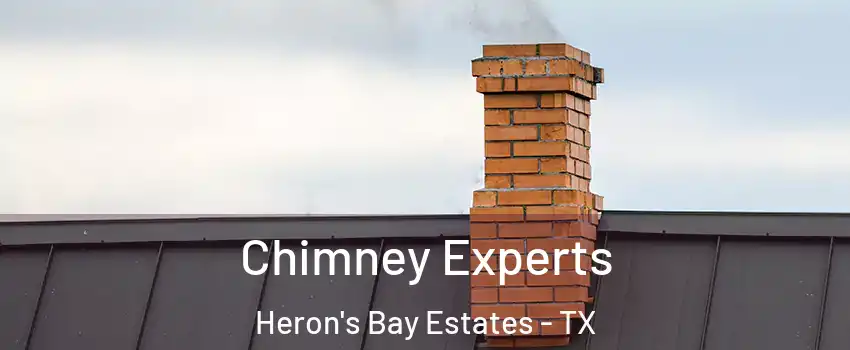 Chimney Experts Heron's Bay Estates - TX