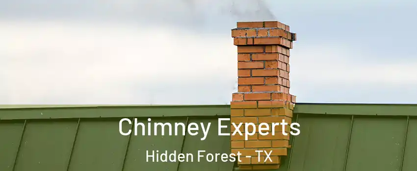 Chimney Experts Hidden Forest - TX