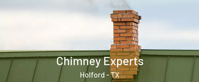 Chimney Experts Holford - TX