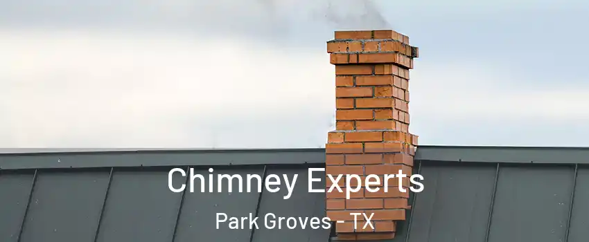 Chimney Experts Park Groves - TX