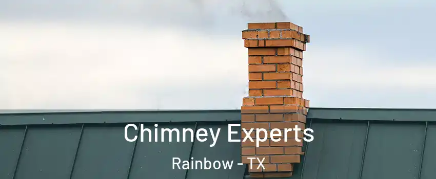 Chimney Experts Rainbow - TX