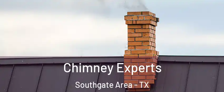 Chimney Experts Southgate Area - TX