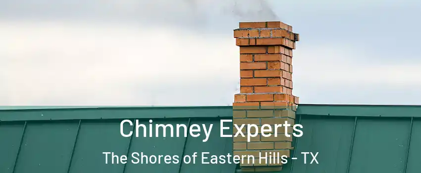 Chimney Experts The Shores of Eastern Hills - TX