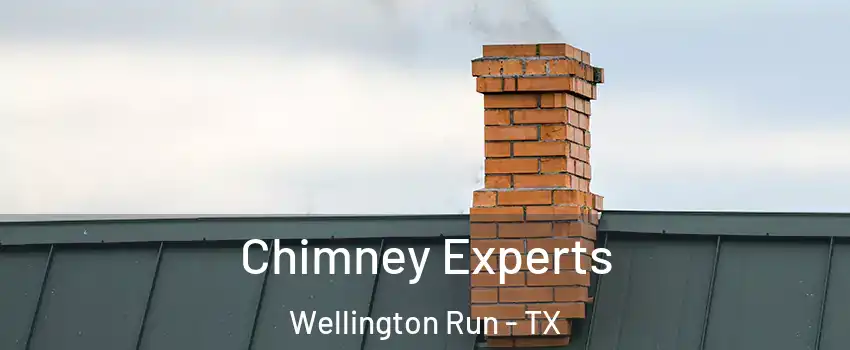 Chimney Experts Wellington Run - TX