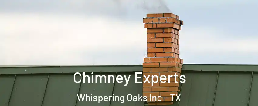 Chimney Experts Whispering Oaks Inc - TX