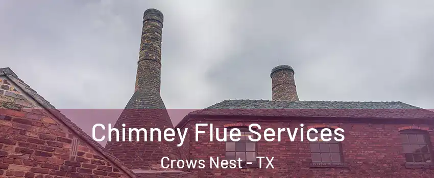 Chimney Flue Services Crows Nest - TX