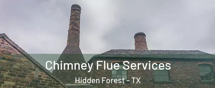 Chimney Flue Services Hidden Forest - TX