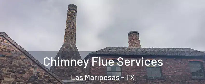 Chimney Flue Services Las Mariposas - TX