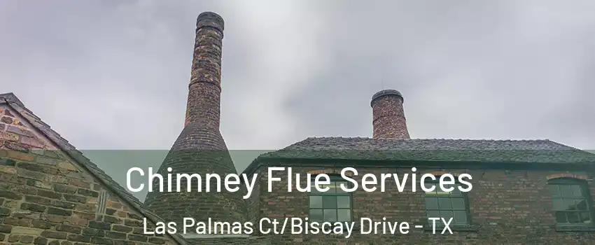 Chimney Flue Services Las Palmas Ct/Biscay Drive - TX