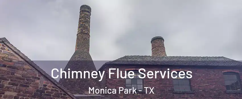 Chimney Flue Services Monica Park - TX