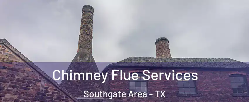 Chimney Flue Services Southgate Area - TX