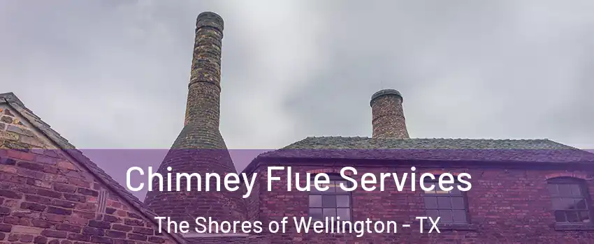 Chimney Flue Services The Shores of Wellington - TX