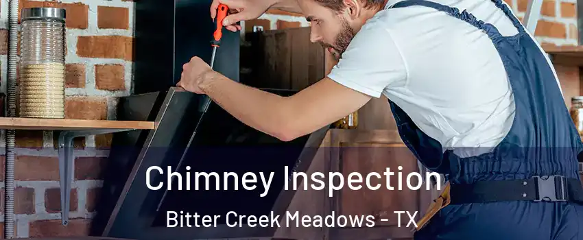 Chimney Inspection Bitter Creek Meadows - TX