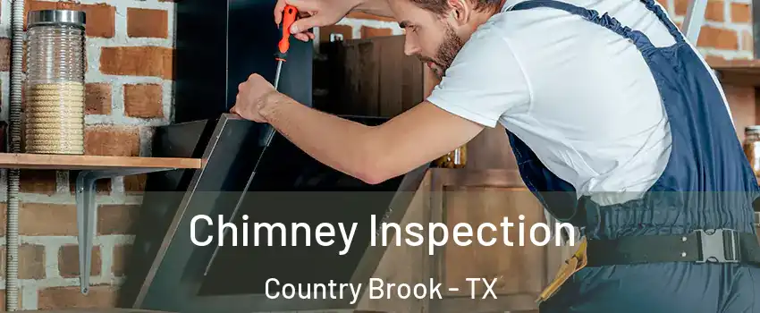 Chimney Inspection Country Brook - TX