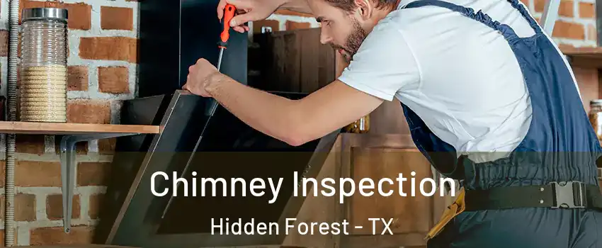 Chimney Inspection Hidden Forest - TX