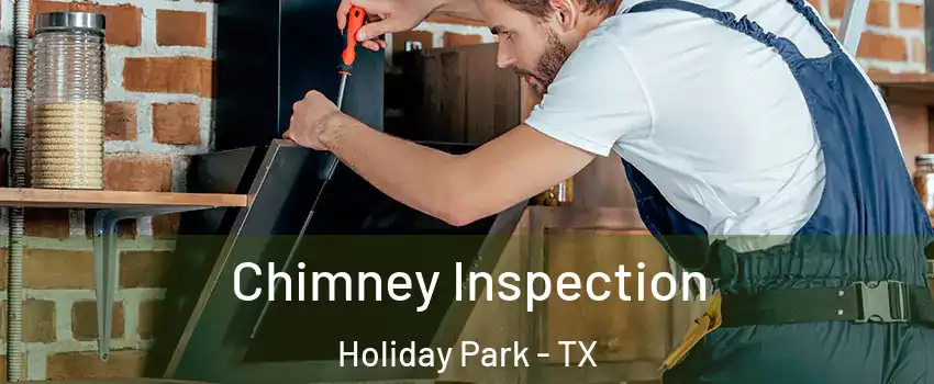 Chimney Inspection Holiday Park - TX