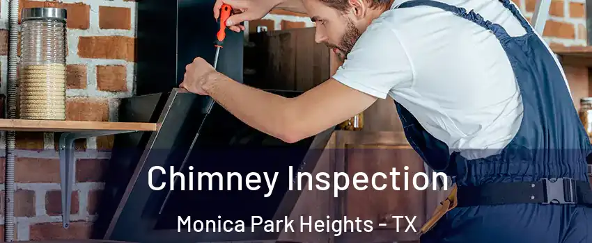 Chimney Inspection Monica Park Heights - TX