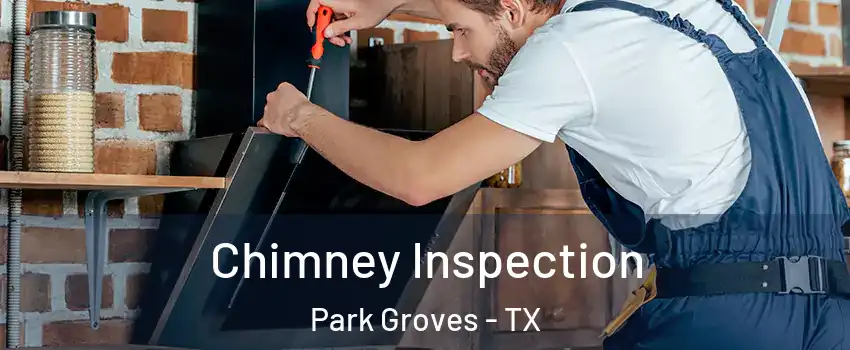 Chimney Inspection Park Groves - TX