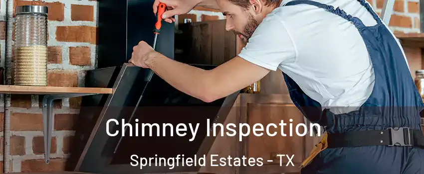 Chimney Inspection Springfield Estates - TX