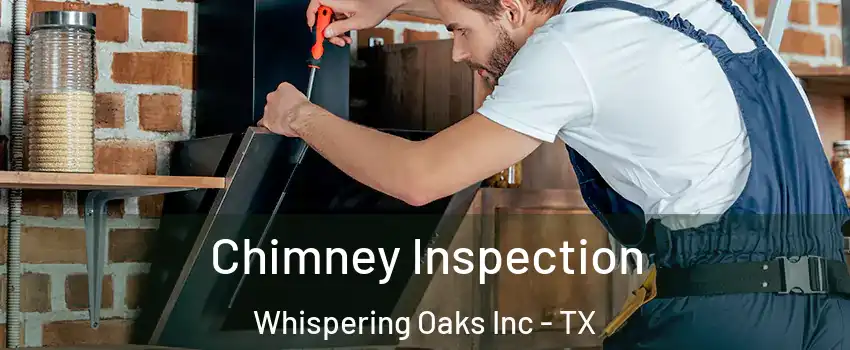 Chimney Inspection Whispering Oaks Inc - TX