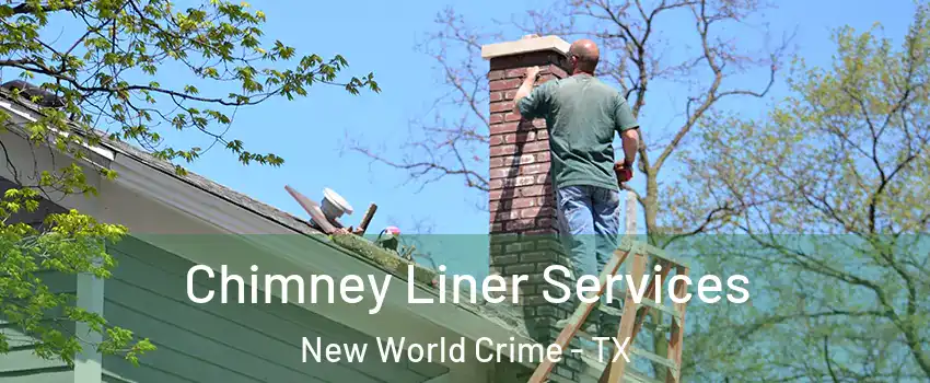 Chimney Liner Services New World Crime - TX