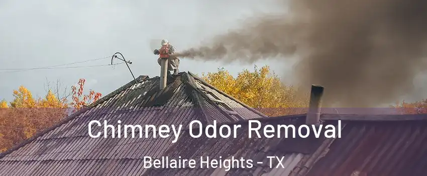 Chimney Odor Removal Bellaire Heights - TX