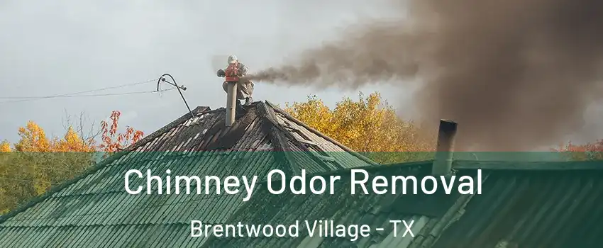 Chimney Odor Removal Brentwood Village - TX