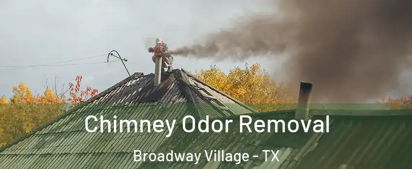 Chimney Odor Removal Broadway Village - TX