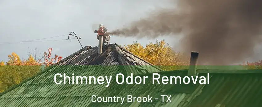 Chimney Odor Removal Country Brook - TX