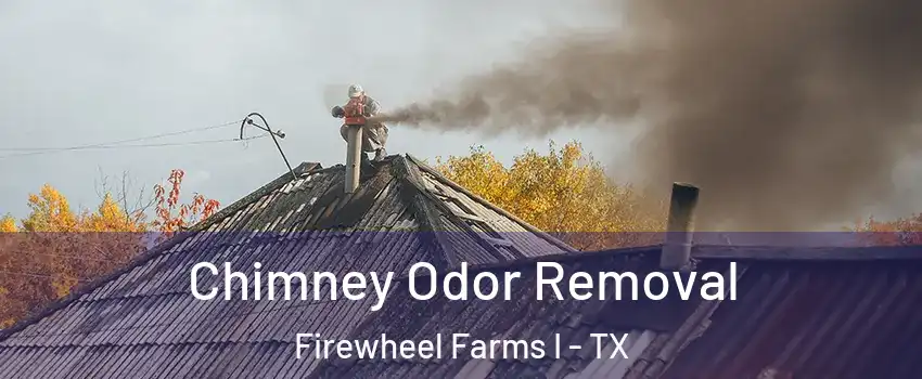 Chimney Odor Removal Firewheel Farms I - TX