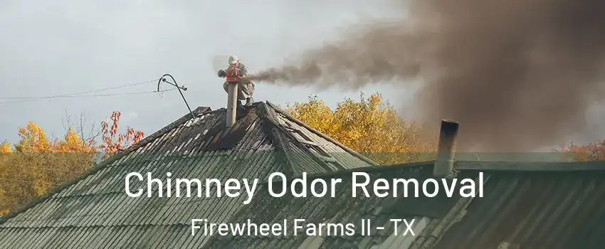 Chimney Odor Removal Firewheel Farms II - TX