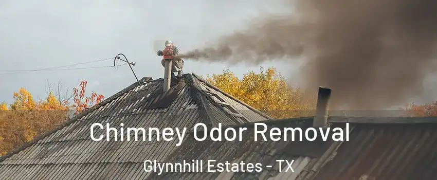 Chimney Odor Removal Glynnhill Estates - TX