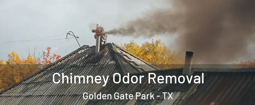 Chimney Odor Removal Golden Gate Park - TX