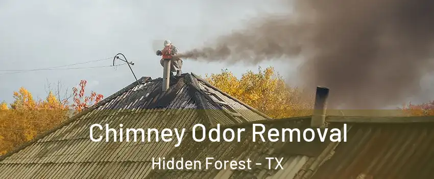 Chimney Odor Removal Hidden Forest - TX