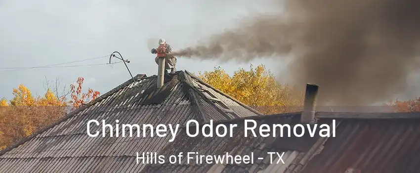 Chimney Odor Removal Hills of Firewheel - TX