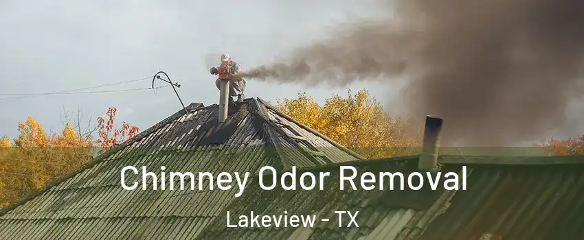 Chimney Odor Removal Lakeview - TX