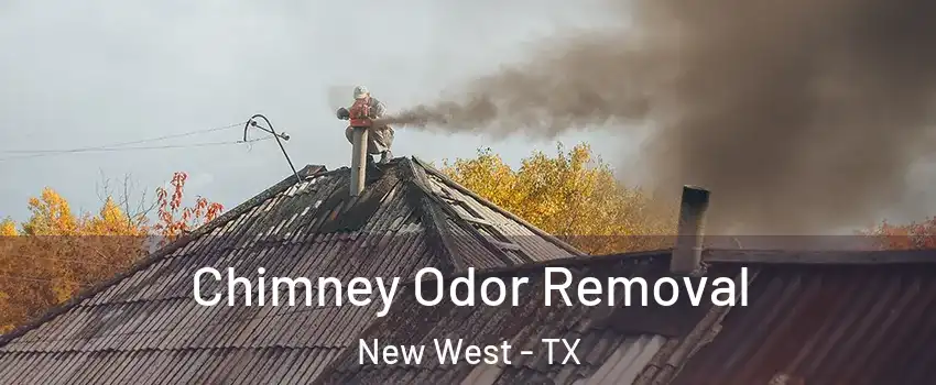 Chimney Odor Removal New West - TX