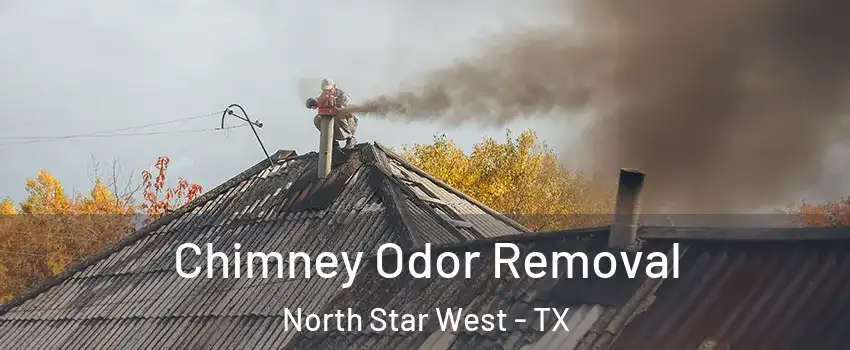 Chimney Odor Removal North Star West - TX